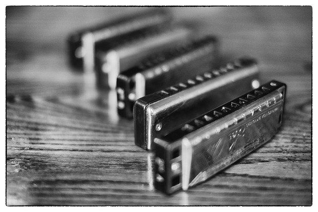harmonicas black and white