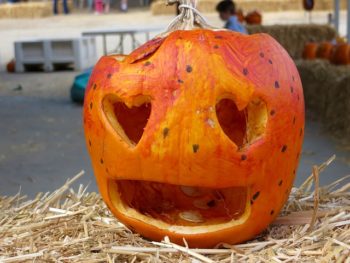 humor writing rotten pumpkin