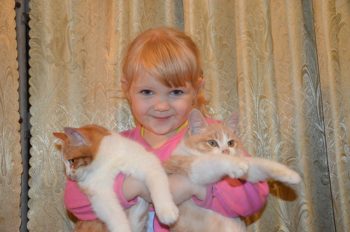 humor writing child and cats