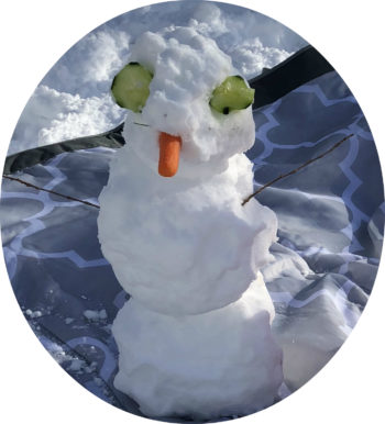 snowman humor writing