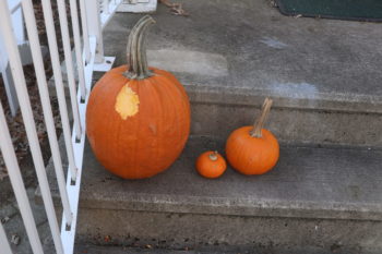 bitten pumpkin humor writing