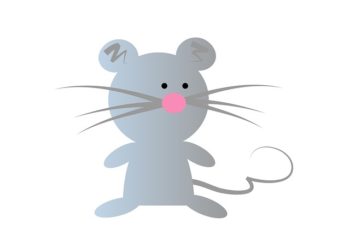 mouse in the house humor writing